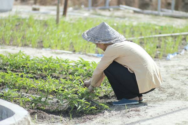 Hoạt động dã ngoại tại Chân Trời Góc Bể Đà Nẵng