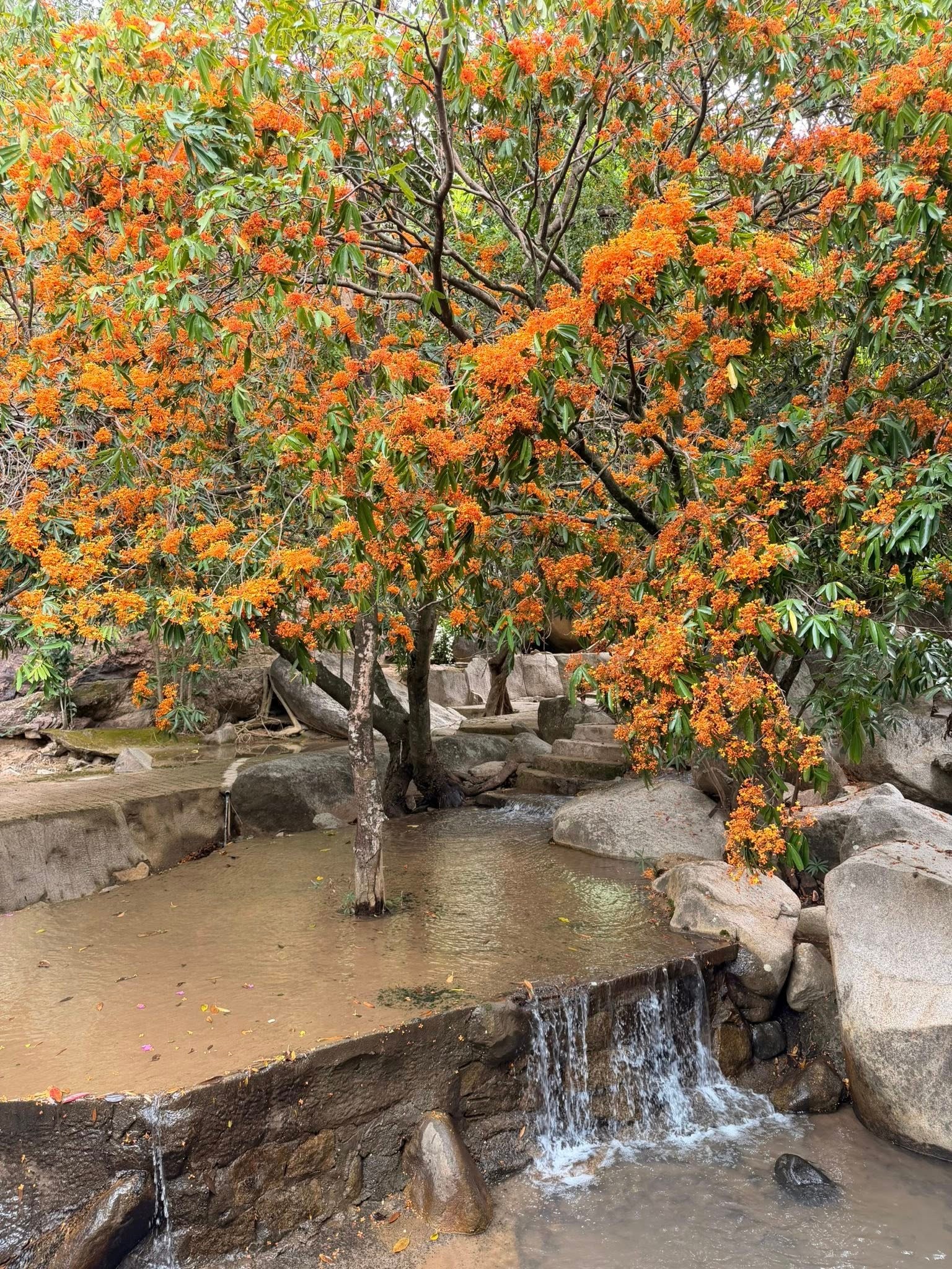 Ăn uống ven suối tại khu du lịch Tàu Ngầm Nha Trang