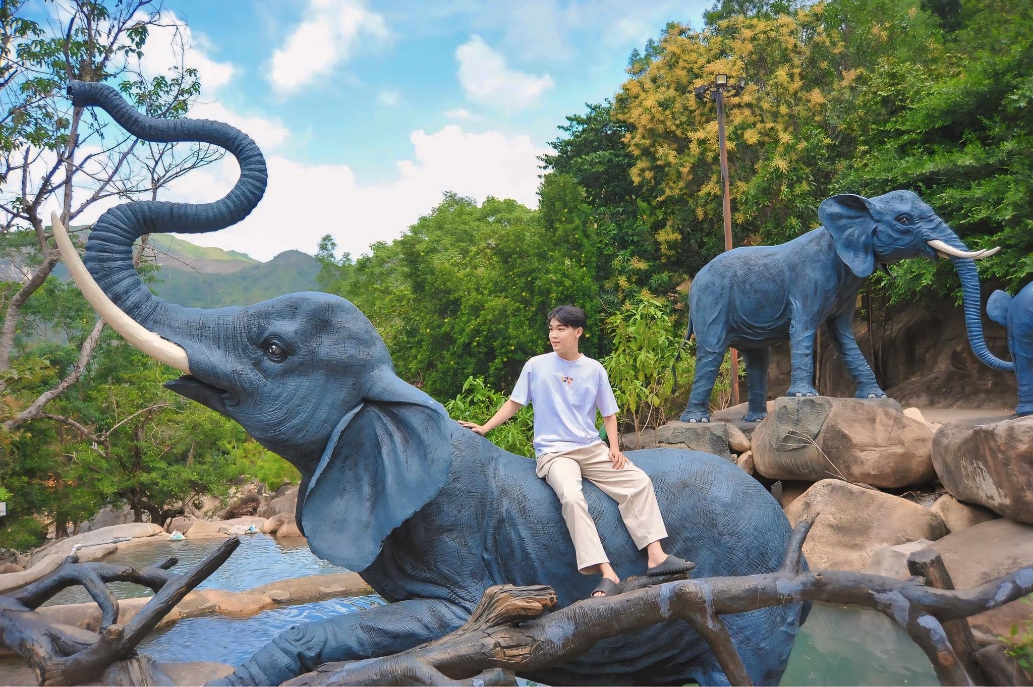 Check-in với đàn voi khổng lồ giữa núi rừng Nha Trang