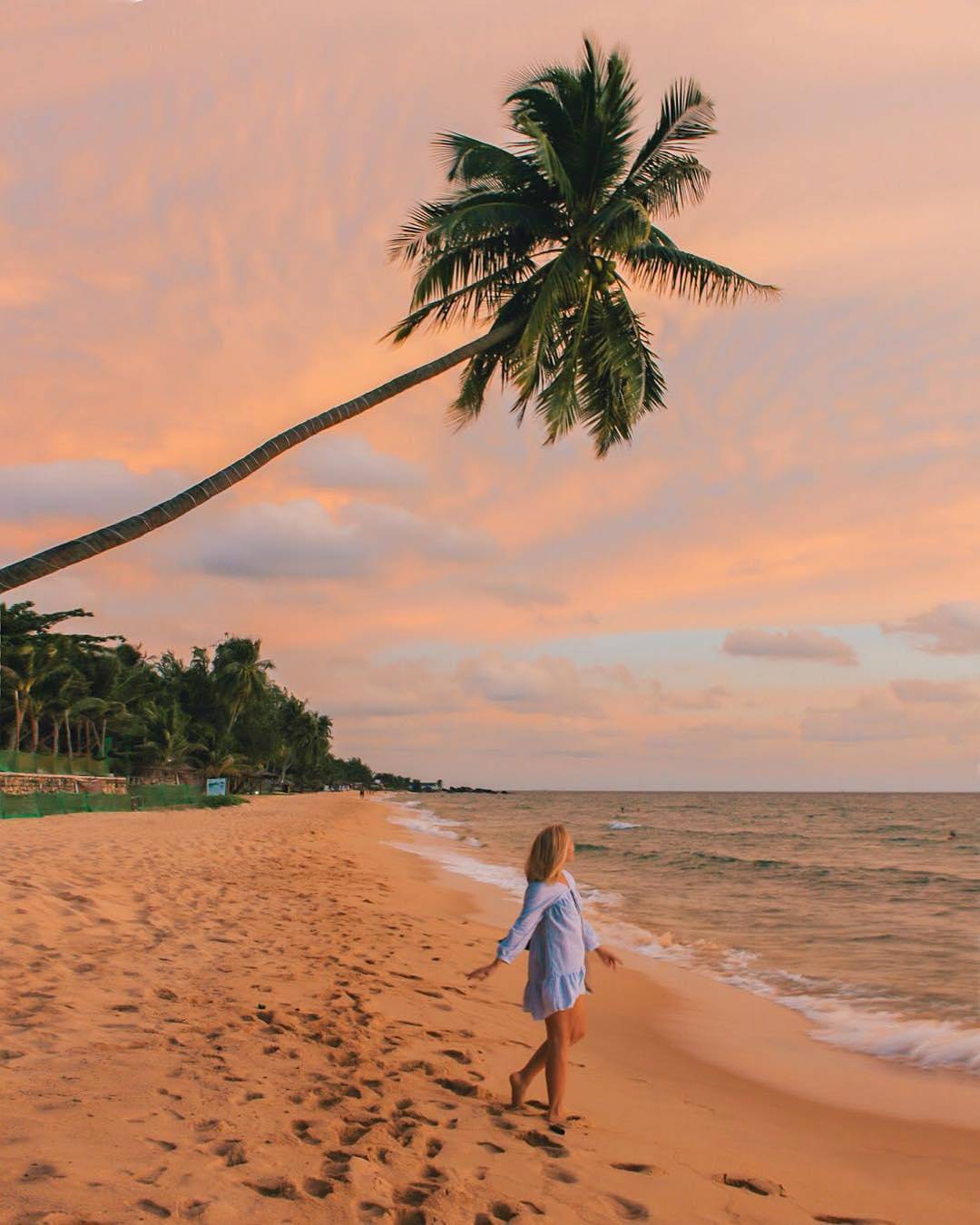 Ảnh: @milesofsmiles