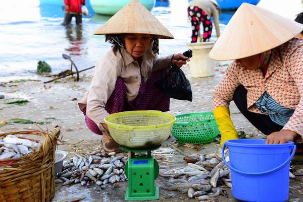 Tham quan khu chợ cá  - một tour du lịch miễn phí của khu ghỉ dưỡng.