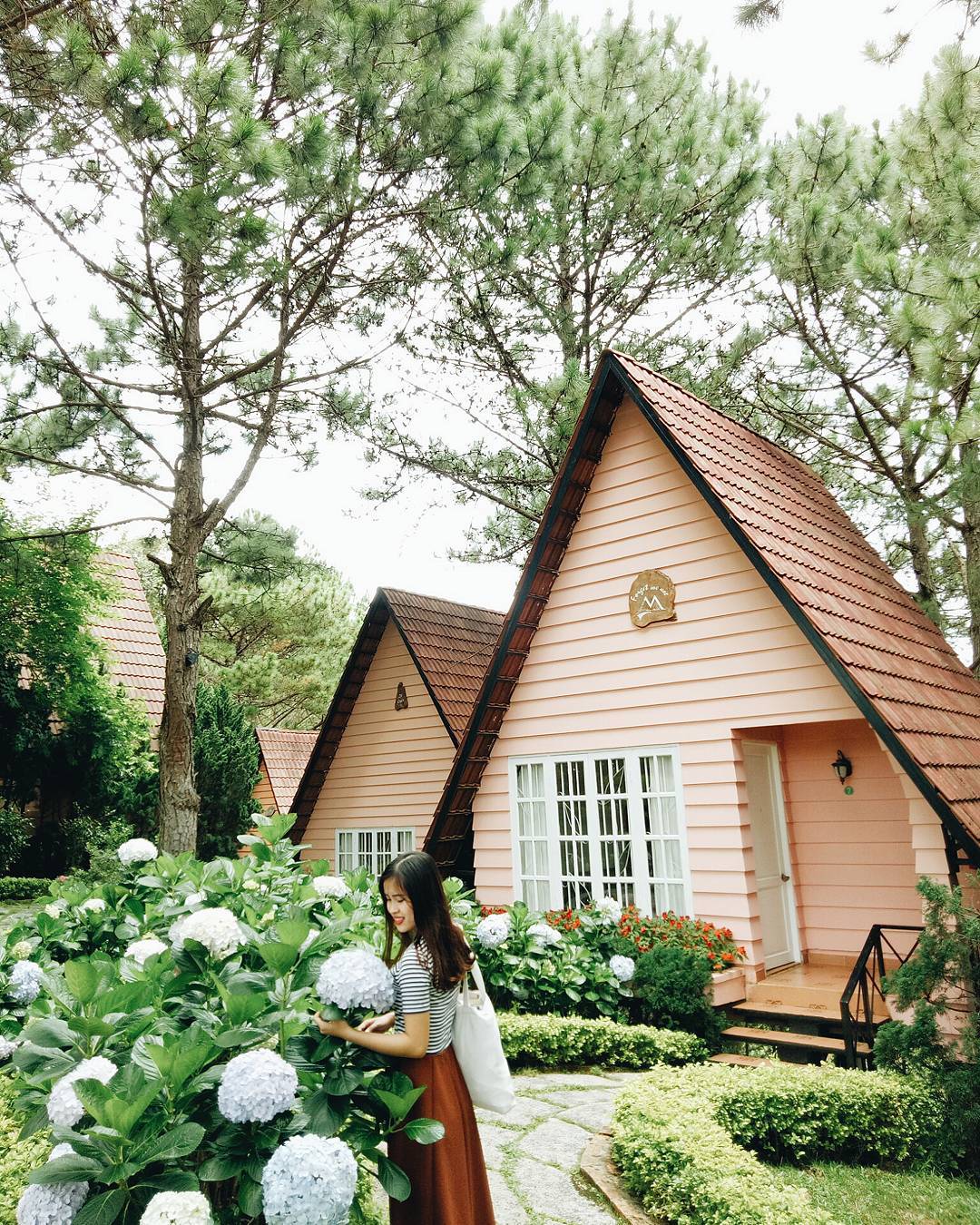 Ảnh: @truongngoc.annh