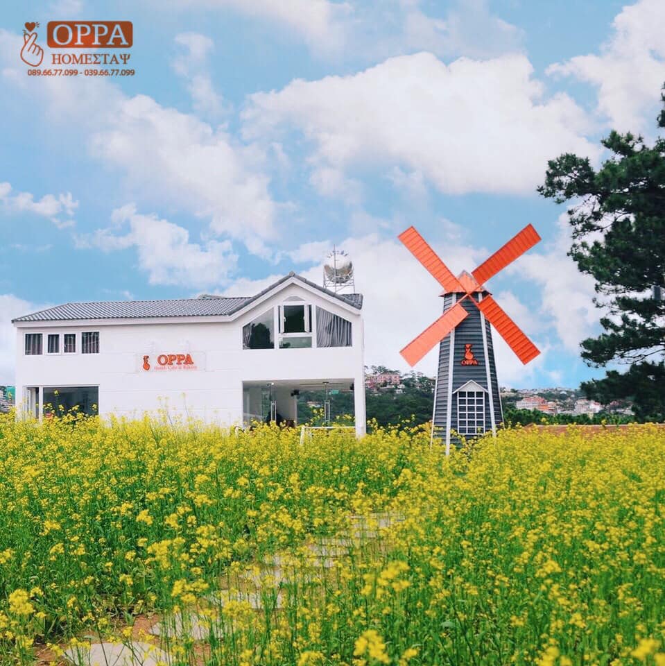 Phát hiện Oppa Homestay với khu vườn châu Âu ngập hoa giữa Đà Lạt