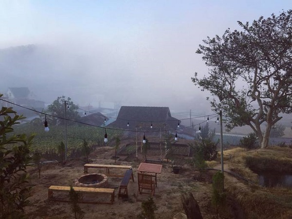 Khu vườn thú cưng Đà Lạt Black Rock Garden nằm cách trung tâm khoảng 7 km