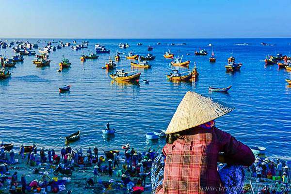 Khung cảnh tấp nập người mua, kẻ bán tại làng chài vào buổi sáng.