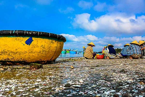 Điều thú vị là hải sản ở đây không chỉ  bán bằng cách cân ký mà còn thường được mua mớ.