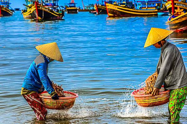 Hải sản phân loại sẽ được đựng riêng trong những chiếc rổ khác nhau.