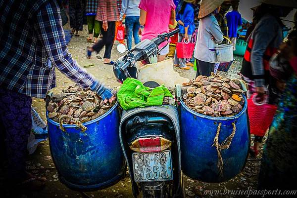 Hải sản được bán cho các chủ nhà hàng hoặc thương lái ngay tại chỗ.