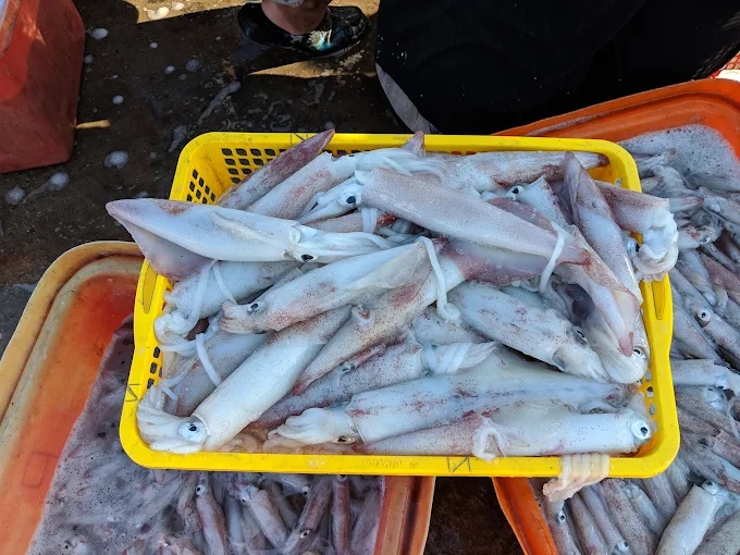 Hải sản tươi ngon đặc sản đảo Phú Quý