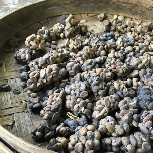 Cà phê kopi luwak Bali