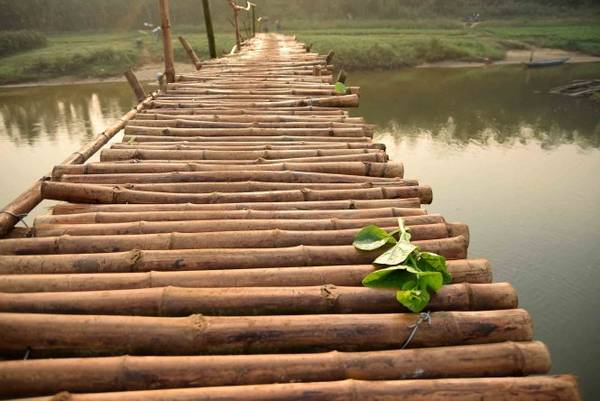 Một cọng rau rơi trên cầu tre Cẩm Đồng