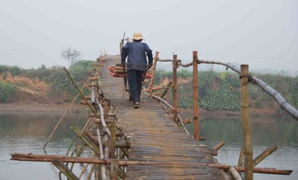 Qua đồng tưới rau tại Cẩm Đồng