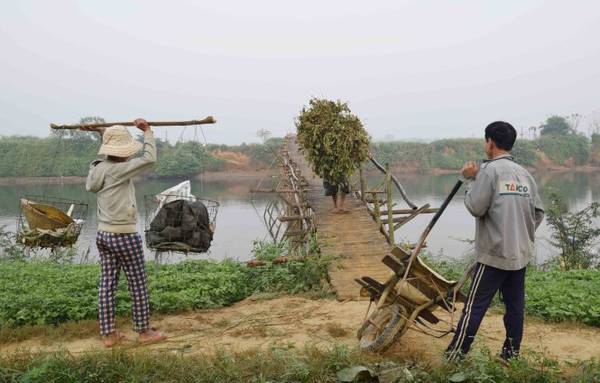 Gánh đồ cồng kềnh phải chờ nhau qua cầu tre Cẩm Đồng