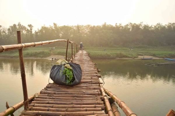 Bành rau nằm lại giữa cầu tre Cẩm Đồng