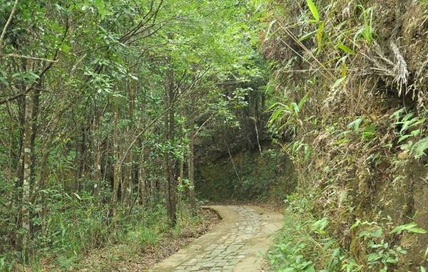 Con đường lát đá lên đỉnh Bạch Mã