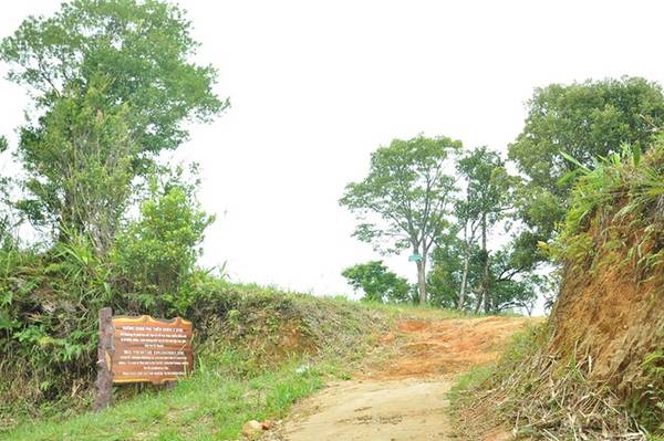 Tour tham quan đỉnh Bạch Mã