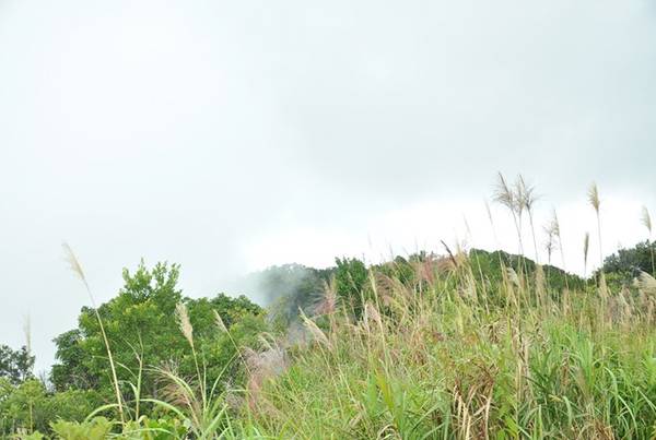 Con đường vào vườn quốc gia Bạch Mã