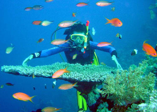 Trải nghiệm lặn biển ngắm san hô khi đi du lịch Nha Trang