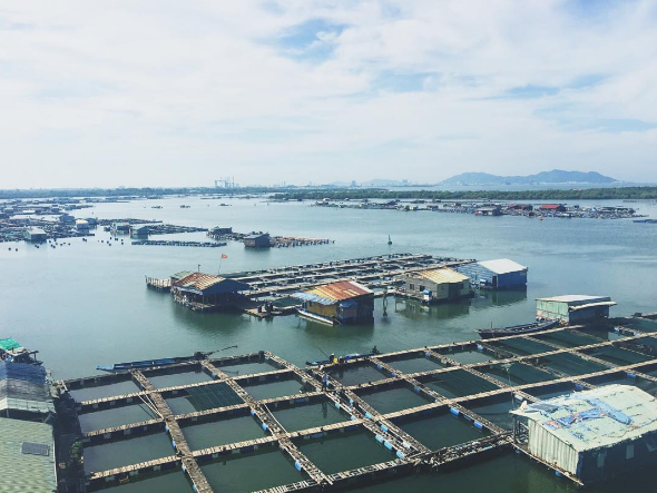 Cảnh đẹp làng bè Long Sơn