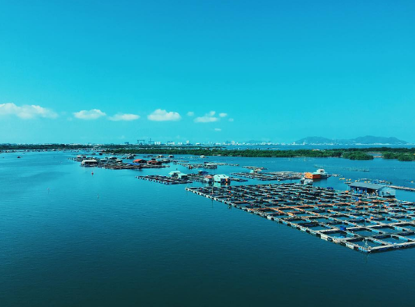 Không gian làng bè Long Sơn