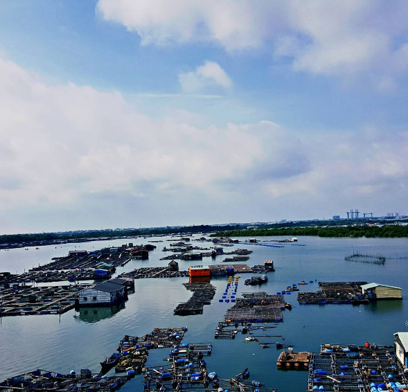 Đường đến làng bè Long Sơn