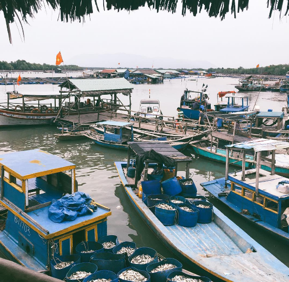 Hoạt động tại làng bè Long Sơn Vũng Tàu