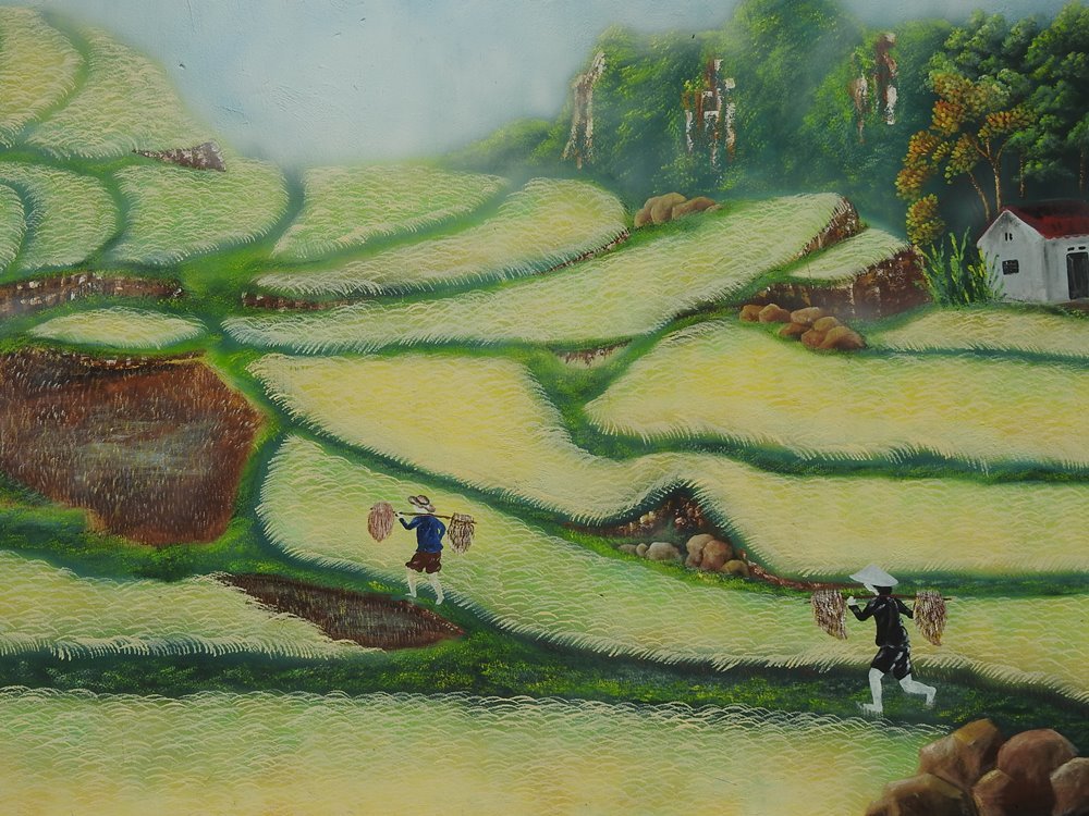 Ruộng bậc thang gần làng tranh bích họa Pò Hèn