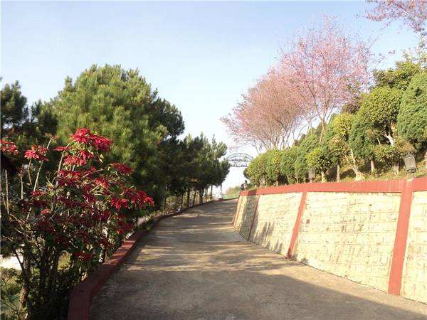 du lịch Đà Lạt - Làng biệt thự Osaka Đà Lạt