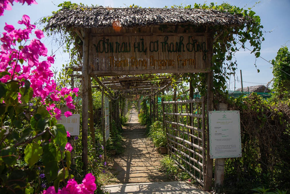 Vườn rau hữu cơ Thanh Đông gần làng Cẩm Thanh