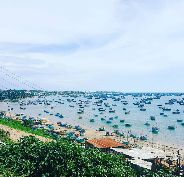 Làng chài Mũi Né hoạt động chài lưới