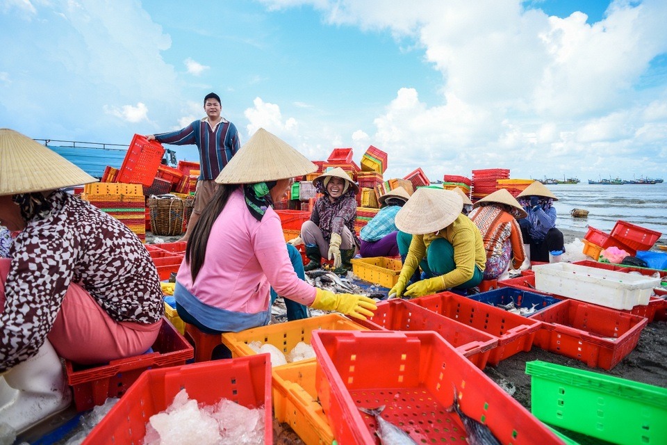 Làng chài Phước Tỉnh được biết đến với danh xưng làng chài tỷ phú