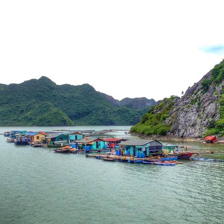 Làng chài yên bình tại Vịnh Hạ Long