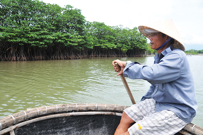 Ngư dân Trần Cường chèo thuyền thúng gần khu rừng đước xanh mướt trên dòng sông Bù Lu.