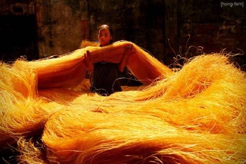 Miến Cừ Đà nổi tiếng vàng óng và ngon.