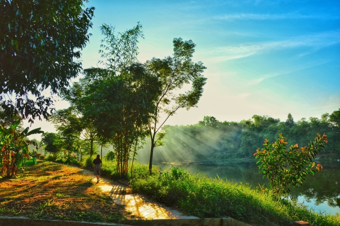 Sớm mai tại làng cổ Phước Tích