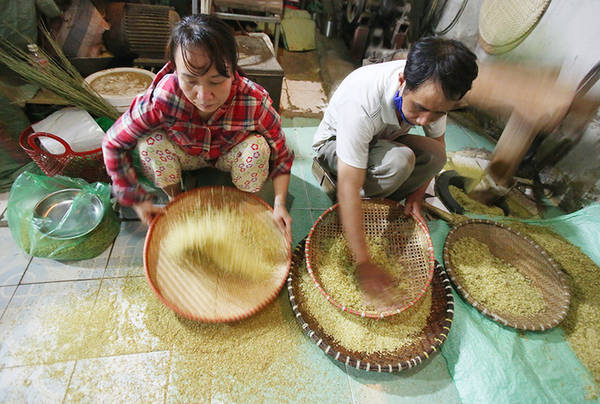 Phân loại cốm non tại làng cốm Mễ Trì