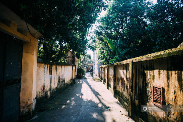 Ngõ xóm lát gạch làng Đông Ngạc