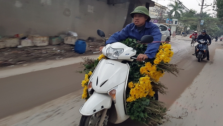 Hối hả chở hoa mới hái ra chợ