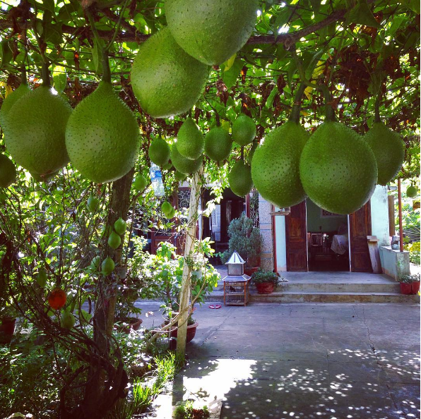 Làng mộc Kim Bồng làng nghề Hội An