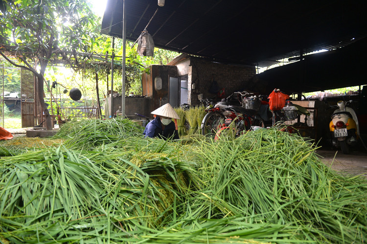 Ảnh: Báo Hà Nội mới