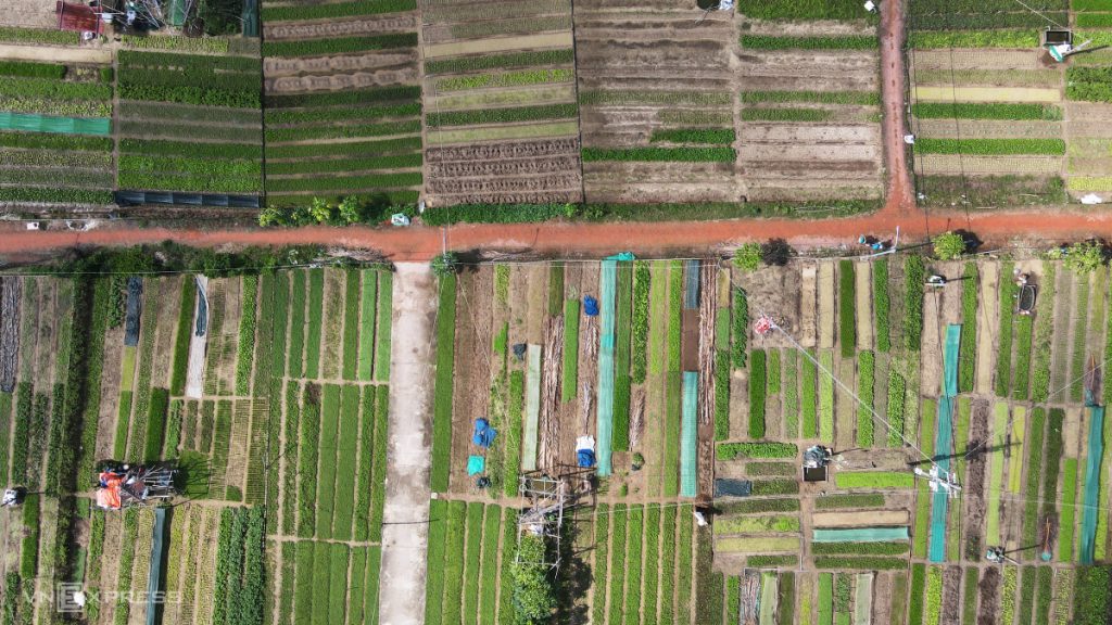 Làng rau Trà Quế nhìn từ trên cao