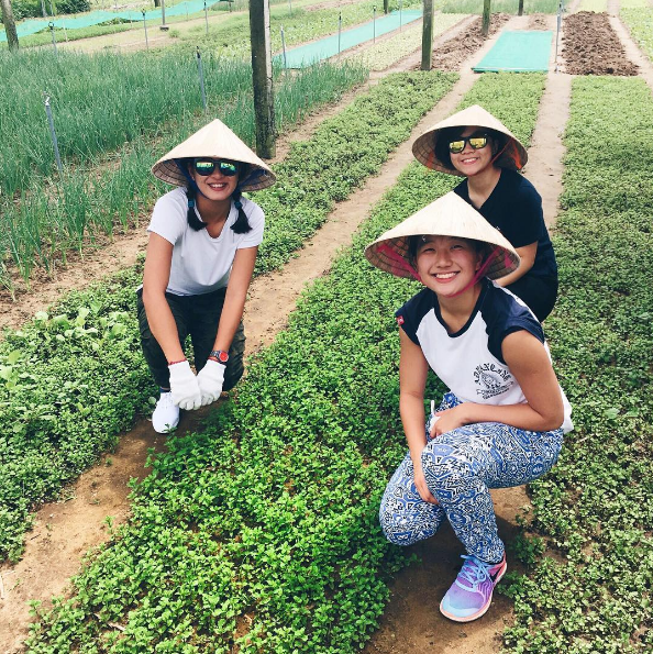 Làng rau Trà Quế làng nghề Hội An