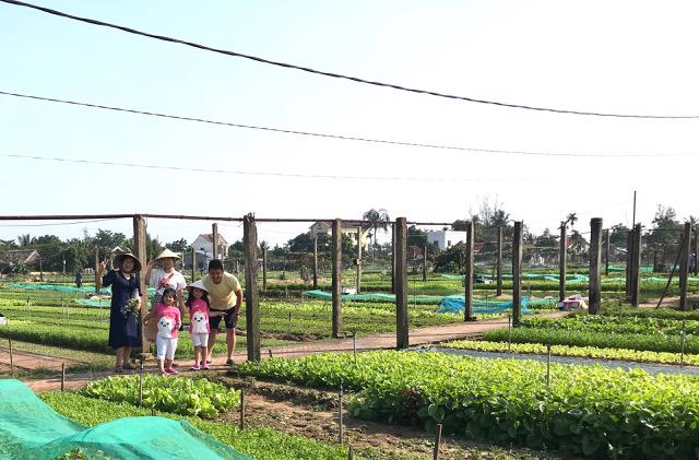 Nhiều góc chụp đẹp tại làng rau Trà Quế