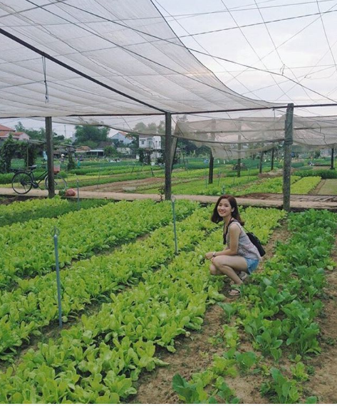 Làng rau Trà Quế làng nghề Hội An
