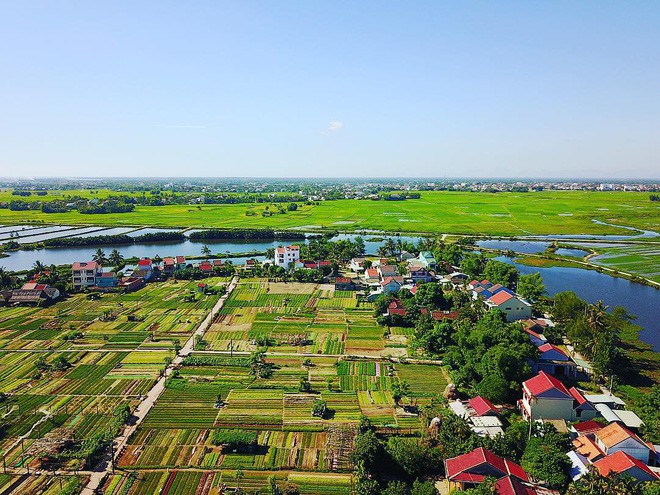 Làng rau Trà Quế với những luống rau thơm xanh mướt