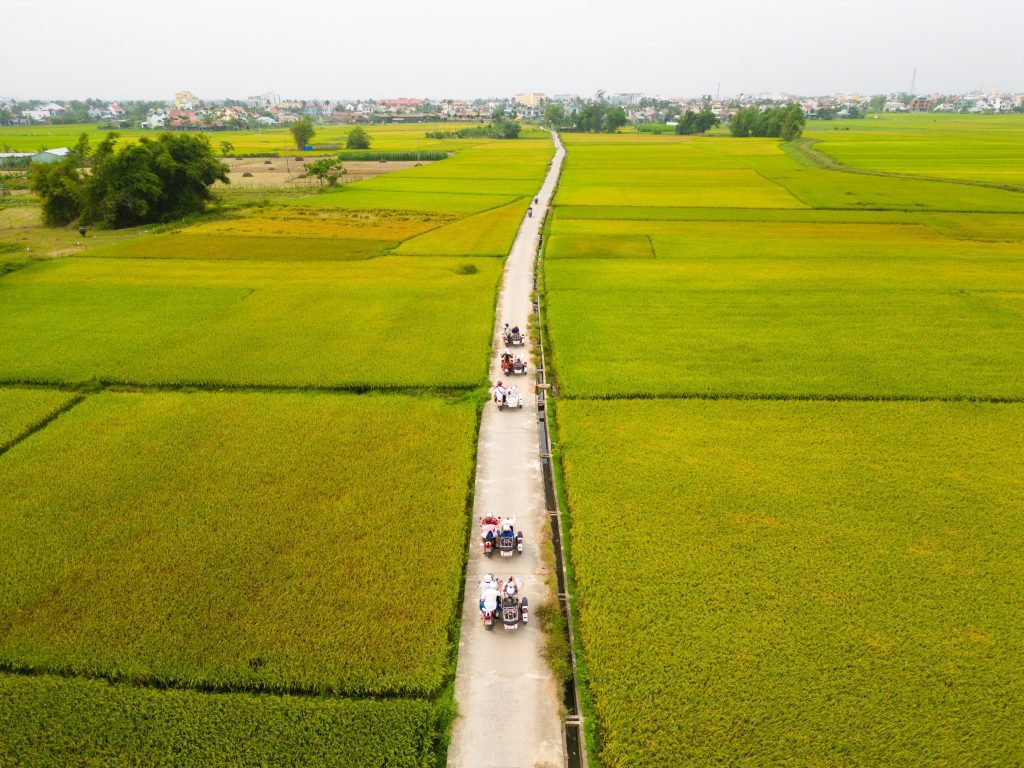 Trải nghiệm thăm làng rau Trà Quế bằng tour xe sidecar độc đáo