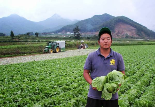 Ngôi làng trồng rau xà lách sạch được áp dụng theo công nghệ nổi tiếng của làng Kawakami Mura