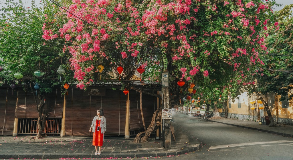 Phố cổ Hội An vắng vẻ vào buổi sáng sớm, góc sống ảo Hội An tươi mới