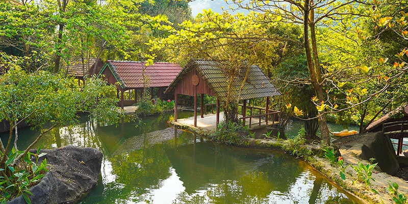 Khuôn viên xanh mát tại Làng Toom Sara Đà Nẵng