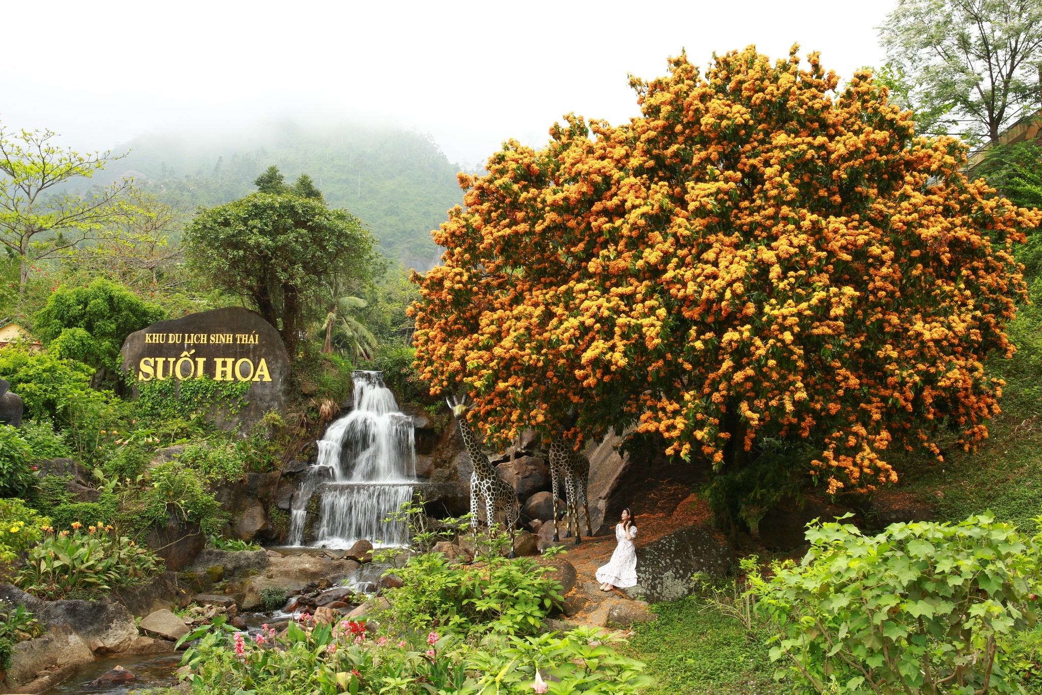 Khung cảnh của khu du lịch sinh thái Suối Hoa